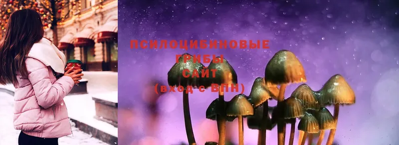 Псилоцибиновые грибы Psilocybine cubensis  Чебаркуль 